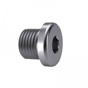 DIN 908 Hexagon Socket Screw Plug With Collar